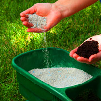 Lawn Fertilization in Trinity Florida