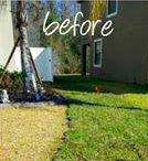 Lawn Fertilization in Tarpon Springs Florida