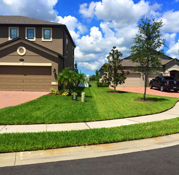 Lawn Fertilization in New Port Richey Florida